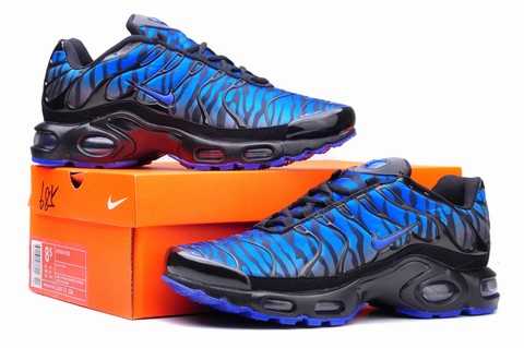 bayloo tn requin